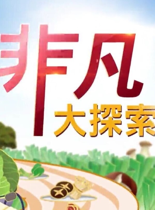 青旅勾引学生弟弟第二集 - 清纯小妞